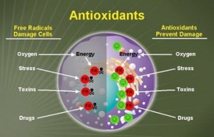 antioxidants_benefits